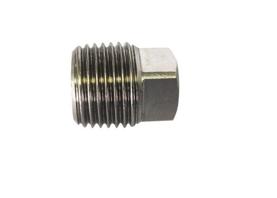 Hydraulic SS316 BS21 DIN2999 Threaded Pipe Plug