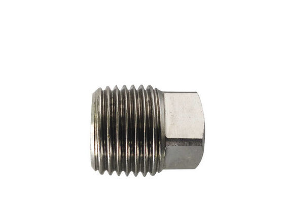 Hydraulic SS316 BS21 DIN2999 Threaded Pipe Plug